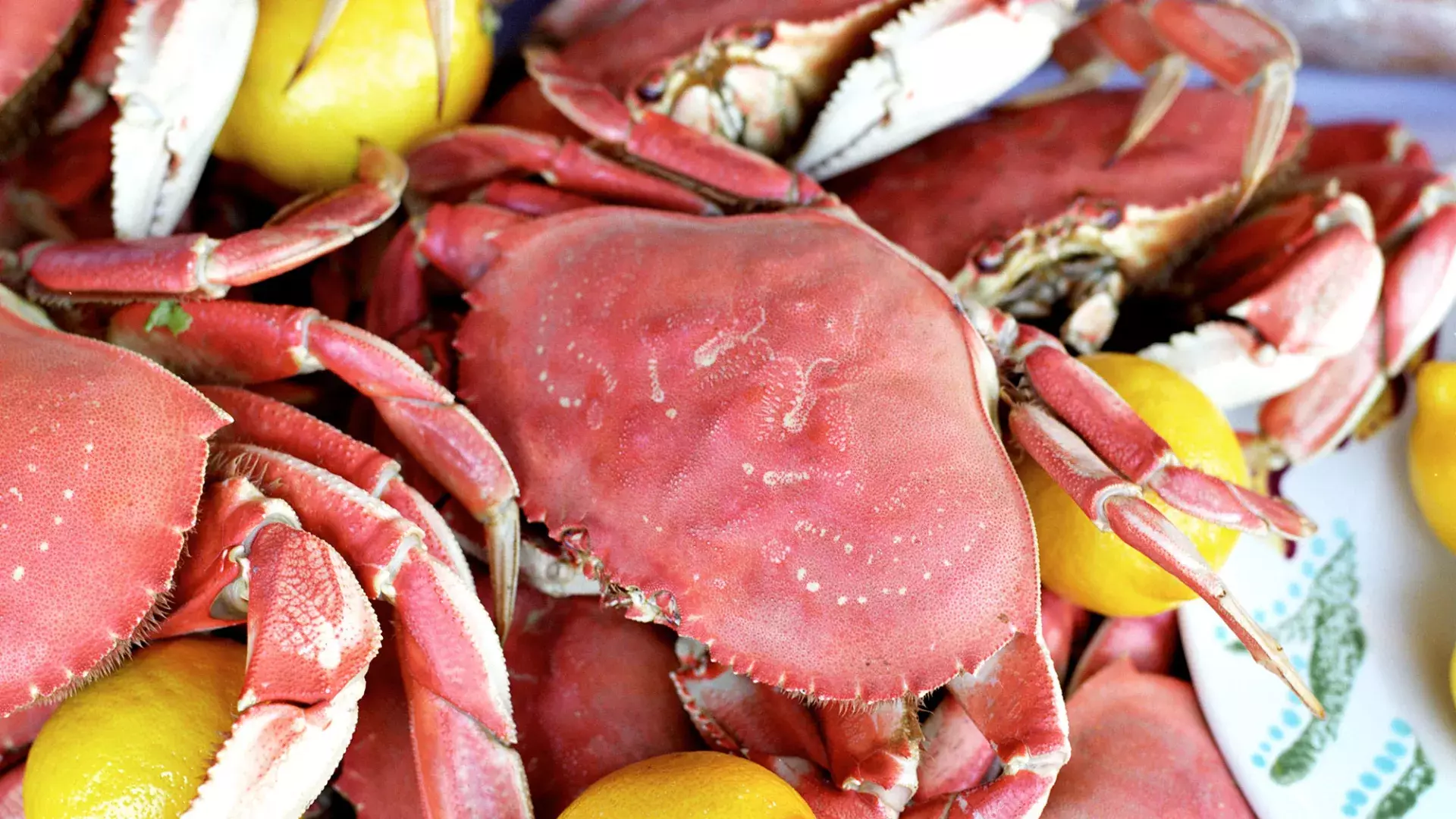 Close-up de uma pilha de caranguejos cozidos com rodelas de limão em uma travessa.