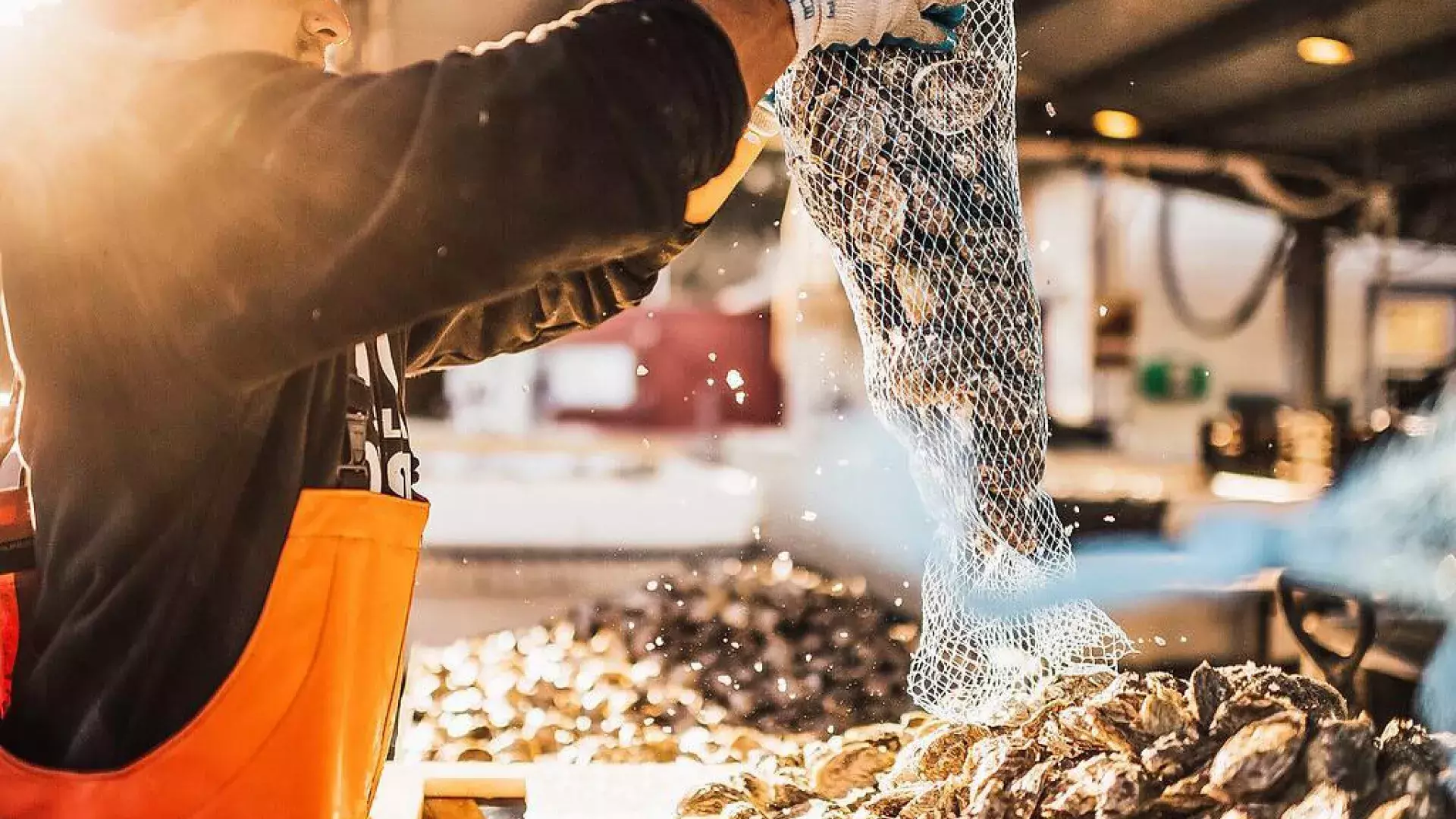 Man dumping out a bag of Oysters