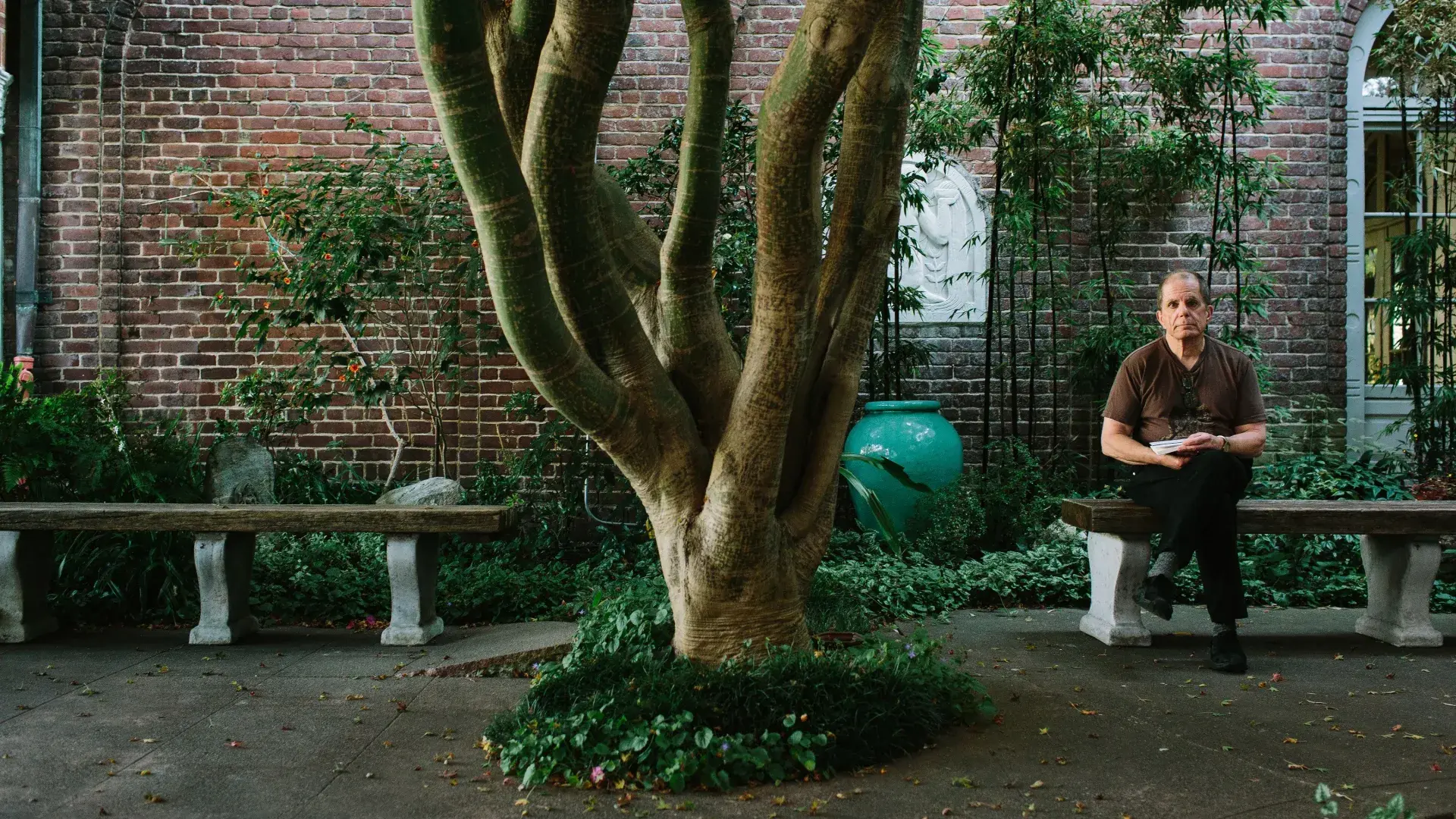 Dennis McNally sitting by a tree