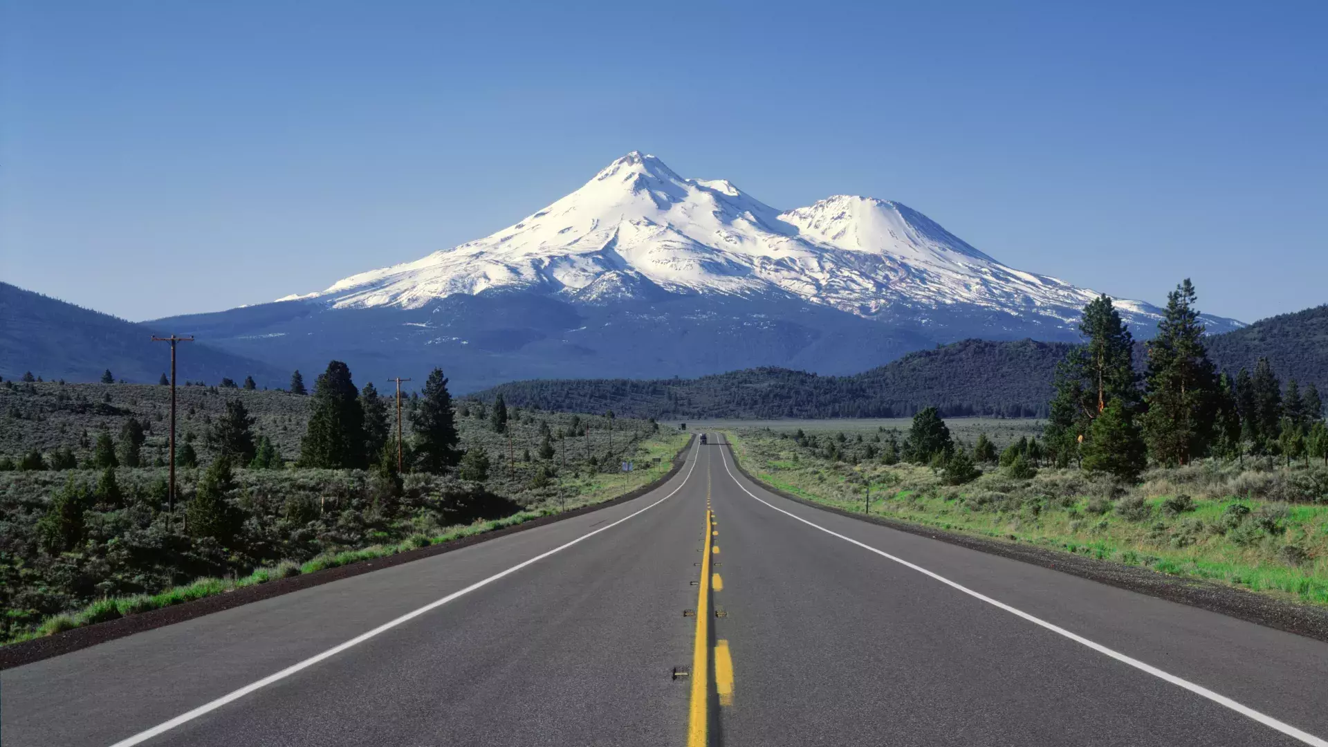 Mount Shasta 