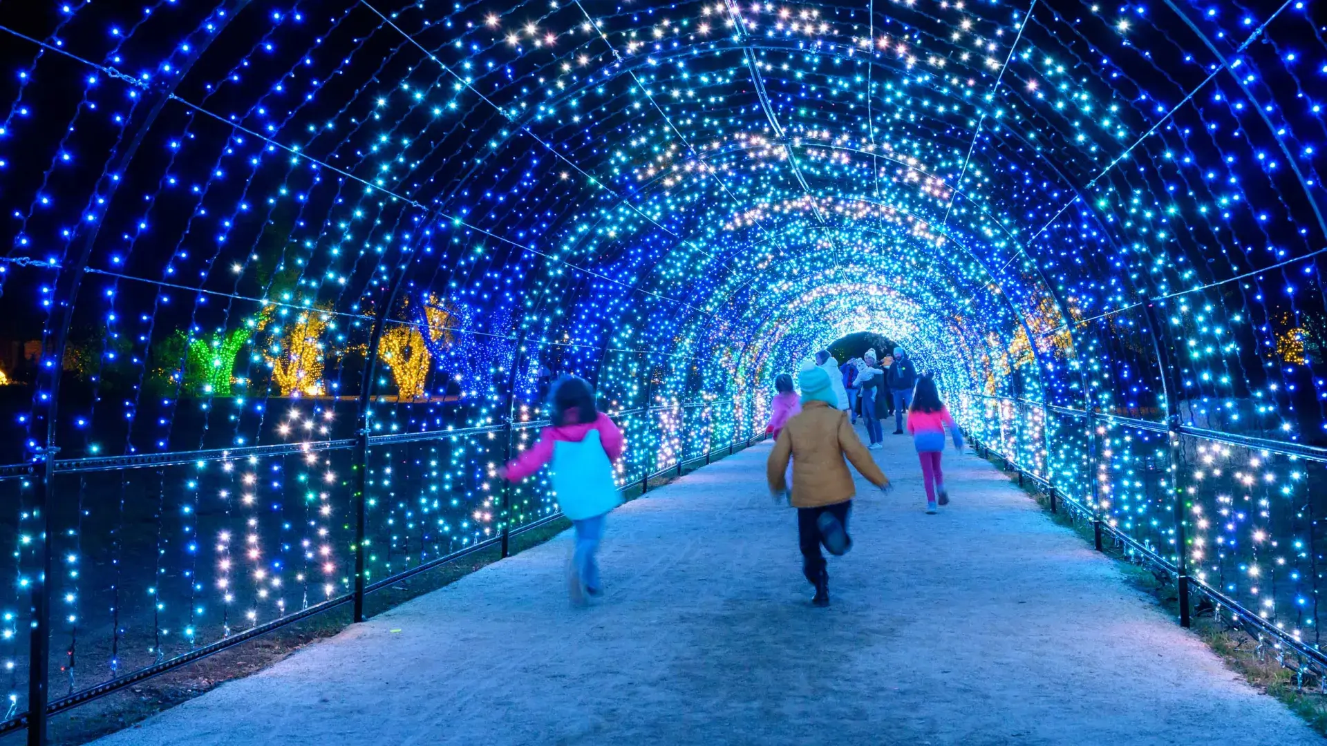 아이들은 푸른색으로 빛나는 크리스마스 조명 터널 속을 달려갑니다.