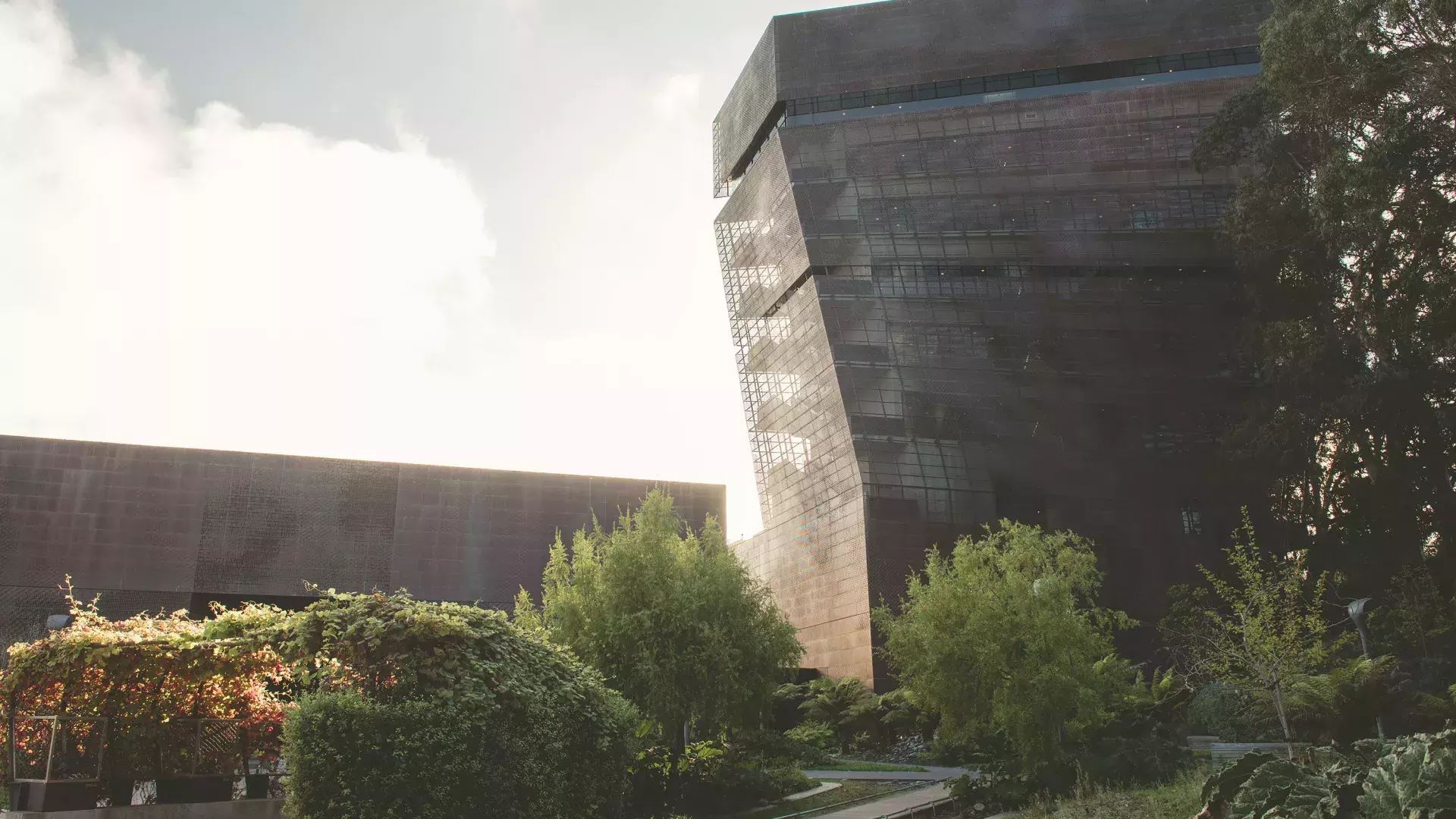 Exterior of de Young Museum 