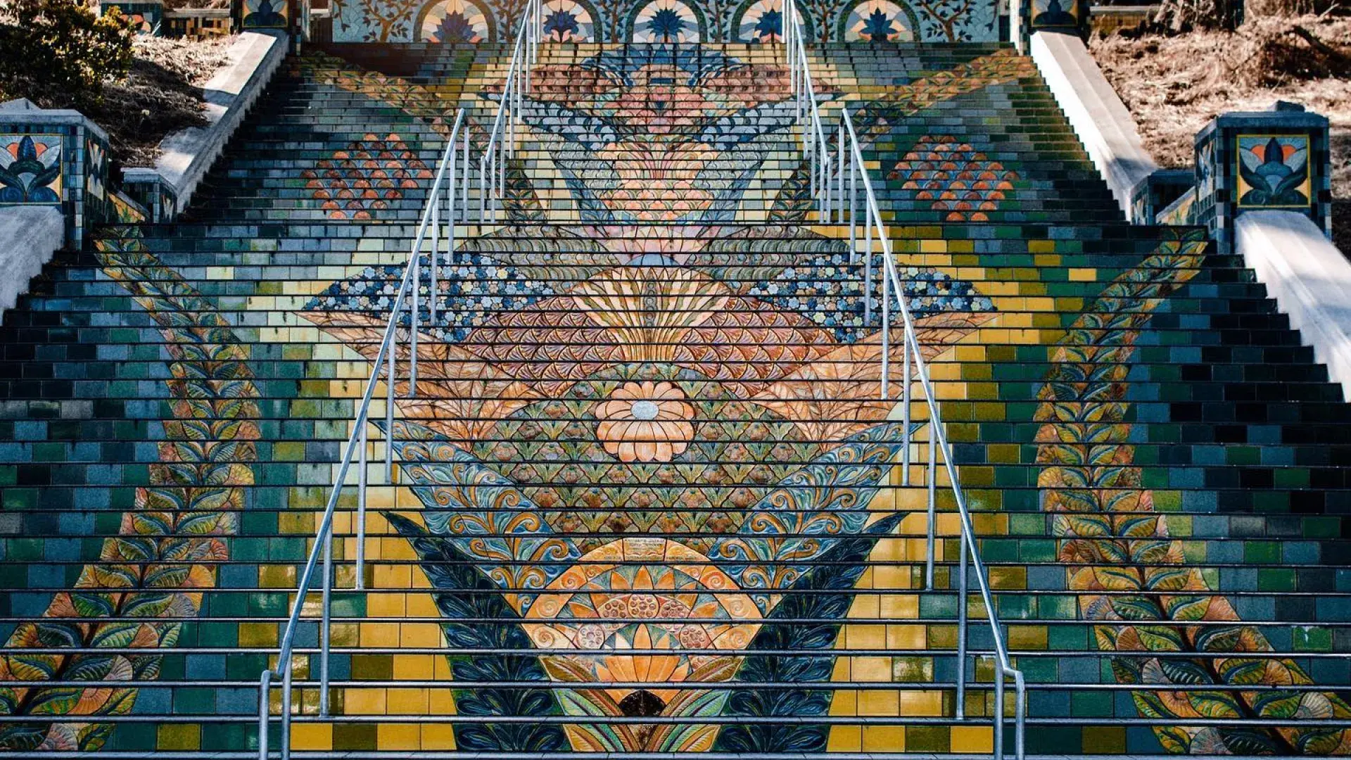 Image of Lincoln Park steps at sunset