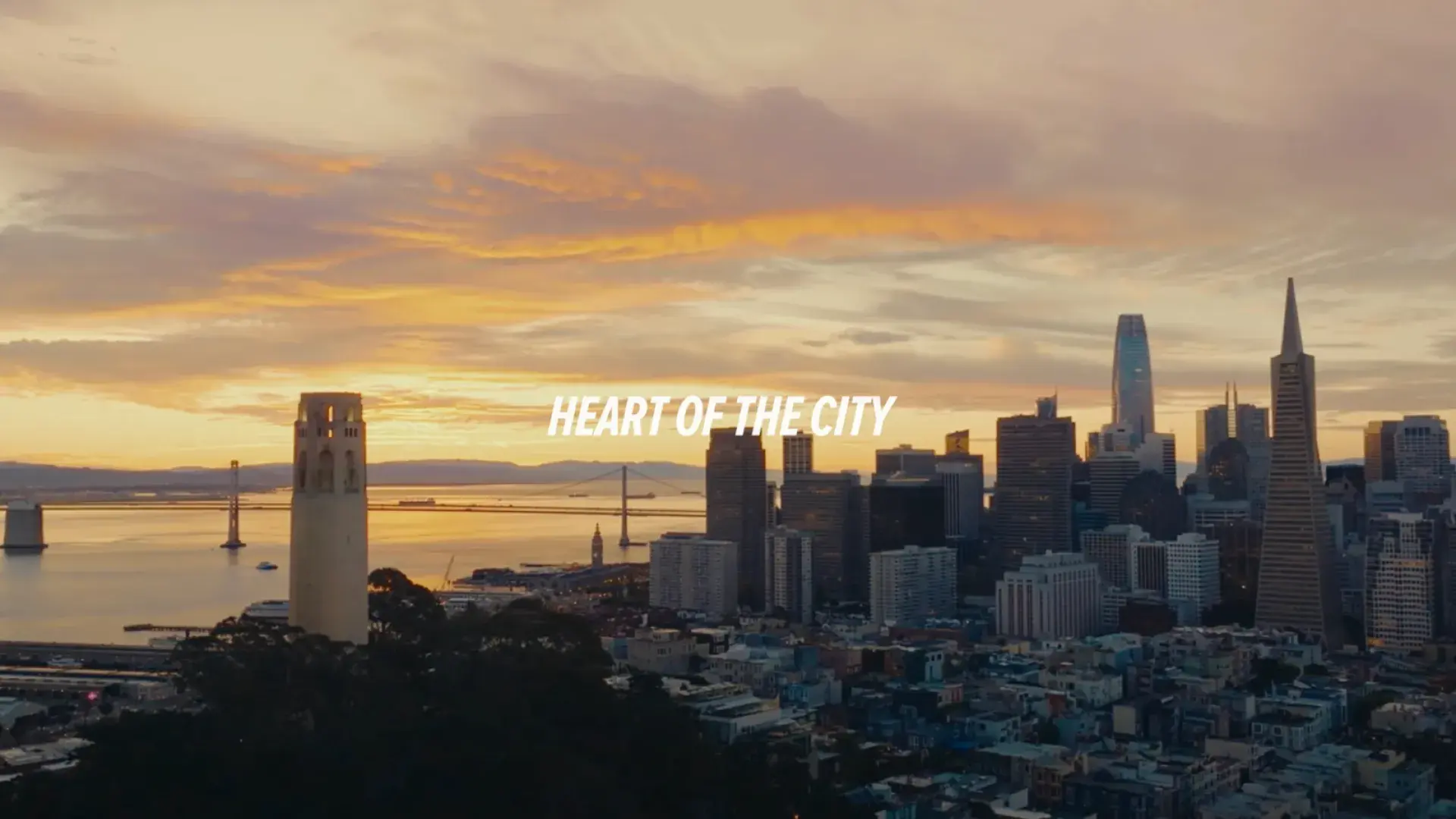 Heart of the City