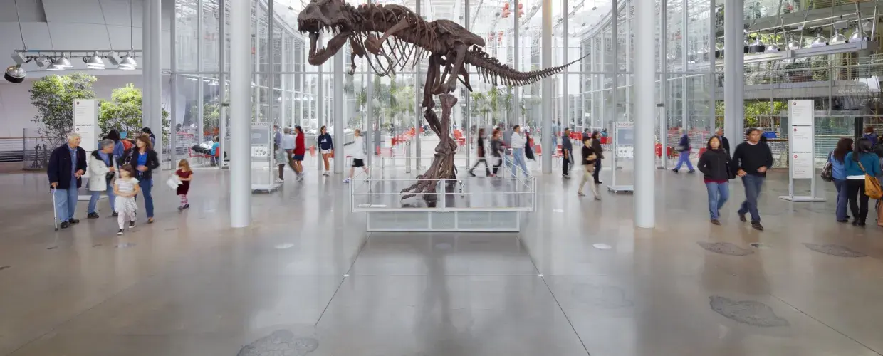 Top 20 Attractions in San Francisco