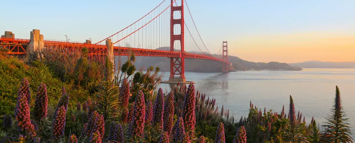 Everywhere you look Golden gate bridge, Golden gate, Fuller house