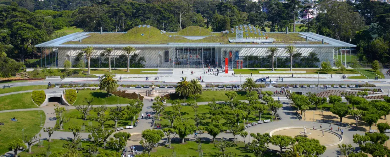Seu guia para visitar a Academia de Ciências da Califórnia
