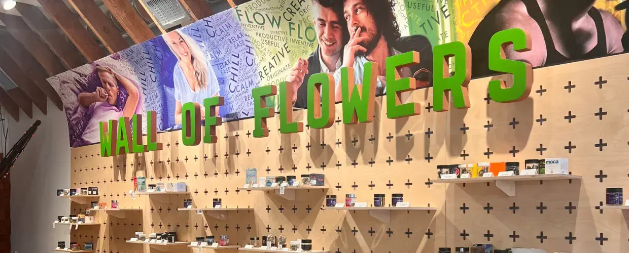 Cannabis Shopping 101: A SF Field Guide