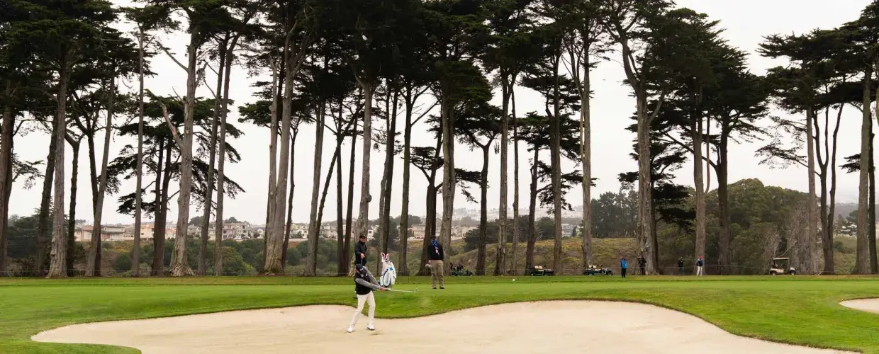 TPC Harding Park