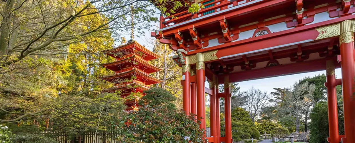 Tudo o que você precisa saber sobre o jardim de chá japonês