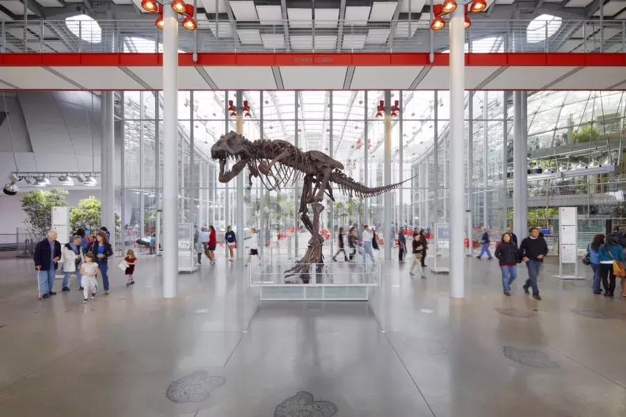 Dinosaurier an der California Academy of Sciences