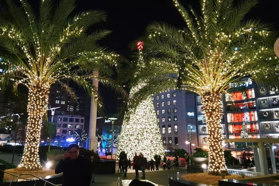 union-square-christmas-trees