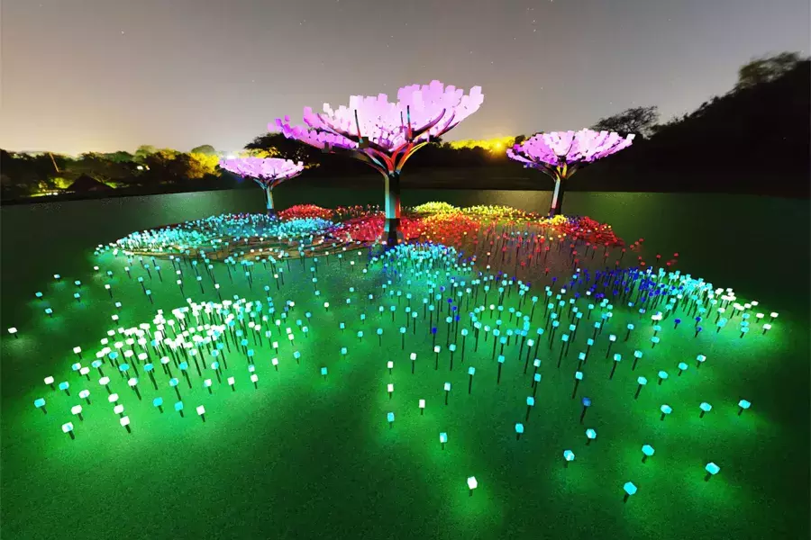 Large-scale flowers glow in multicolor lights at Entwined, an Illuminate SF exhibit.