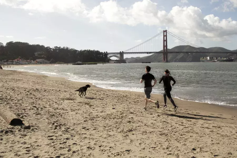 Casal com um cachorro correndo em Crissy Field