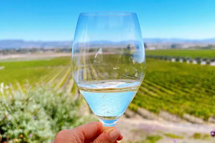 A glass of wine held up in a Sonoma vineyard.