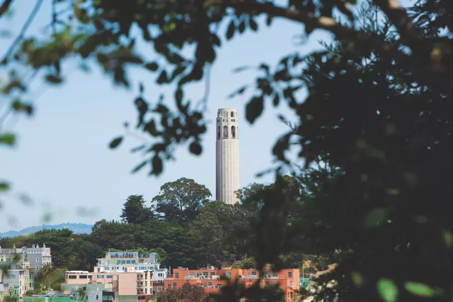 San Francisco's Coit Tower, framed by trees in the foreground.