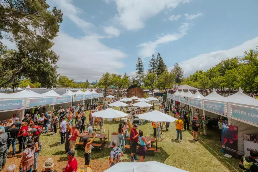 Food at BottleRock Festival