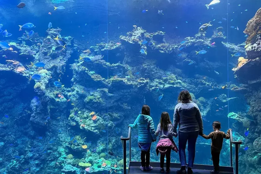 Family with Aquarium by the Bay