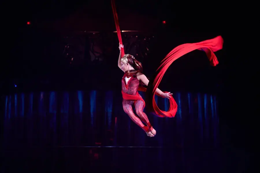 A performer glides through the air in Cirque du Soleil's "KOOZA".