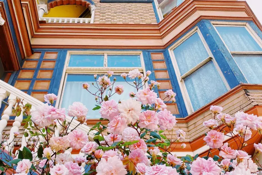 Victorians in the Panhandle