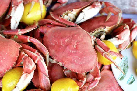 Close-up shot of a pile of cooked crabs with lemon slices on a platter.