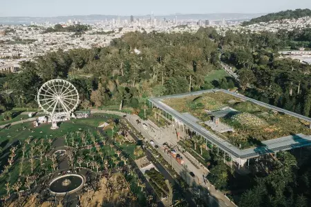 Aerial shot of Golden Gate Park