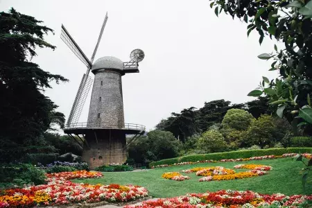 Dutch Windmill in Golden Gate Park