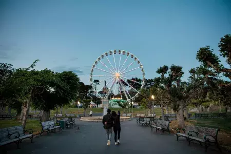 Walking around the Music Concourse in Golden Gate Park towards the Skystar Wheel