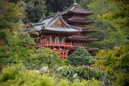 Jardim de chá japonês