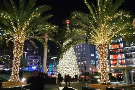 union-square-árvores-de-natal