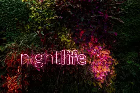 Vida noturna