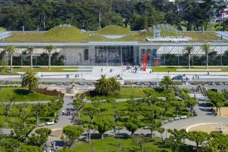 academy of sciences 
