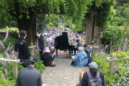 Image of people watching a piano concert in a lush, green garden