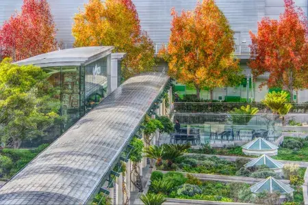 Yerba Buena Fall Colors