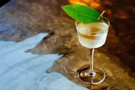 A martini served at True Laurel