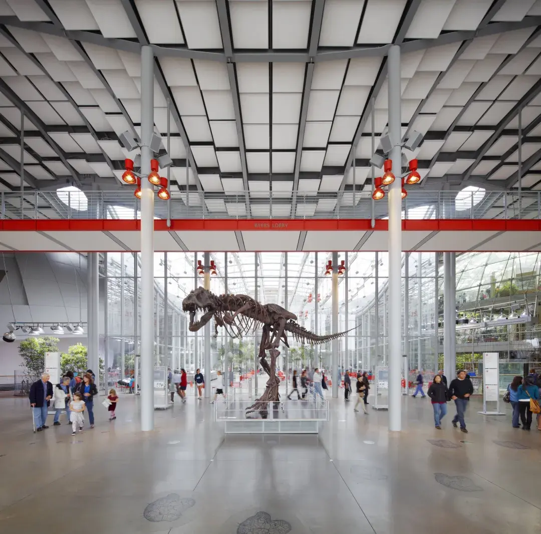 Dinosaur at the California Academy of Sciences