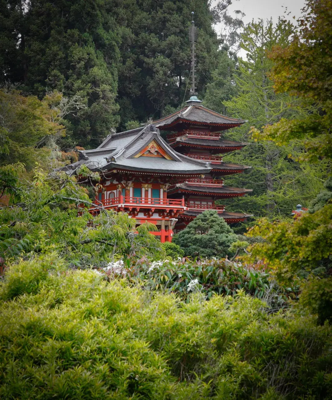 Japanese Tea Garden