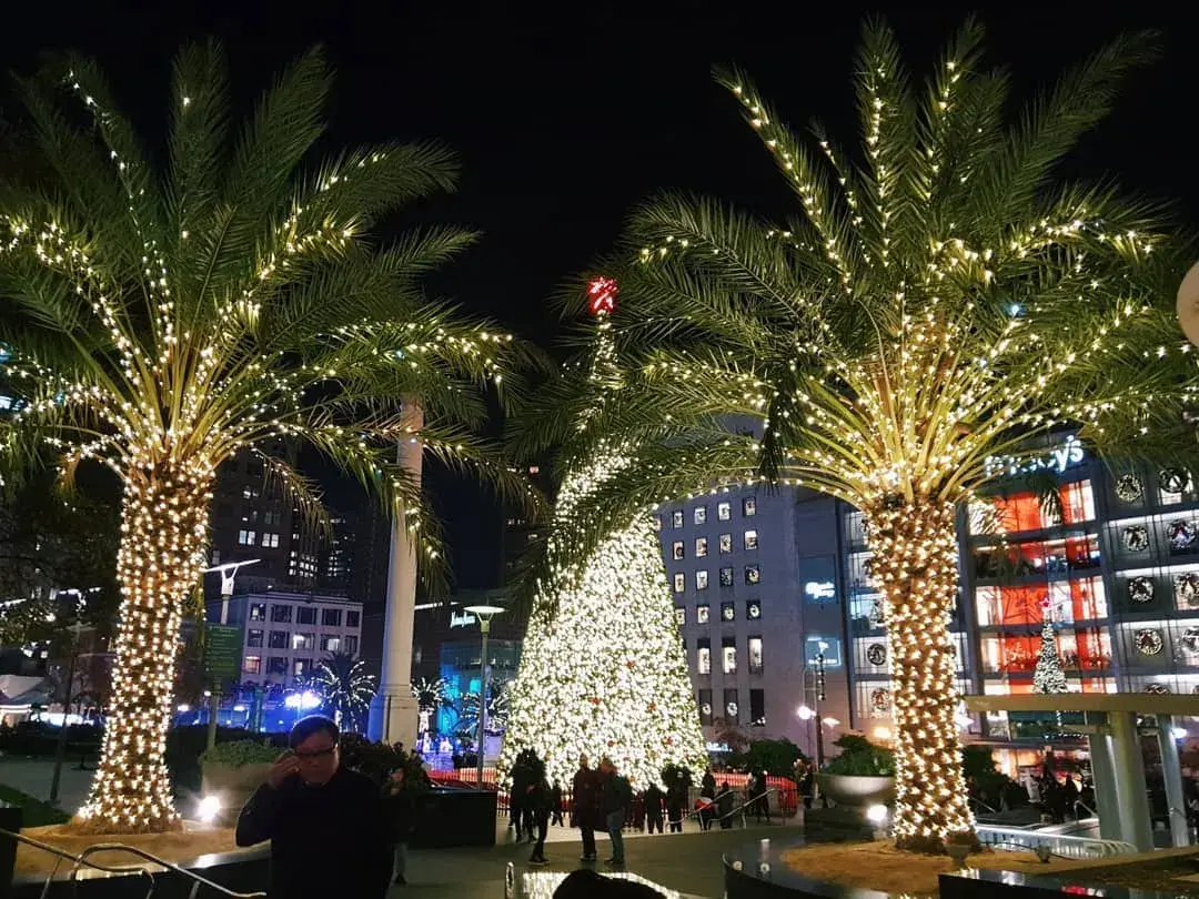 union-square-árvores-de-natal