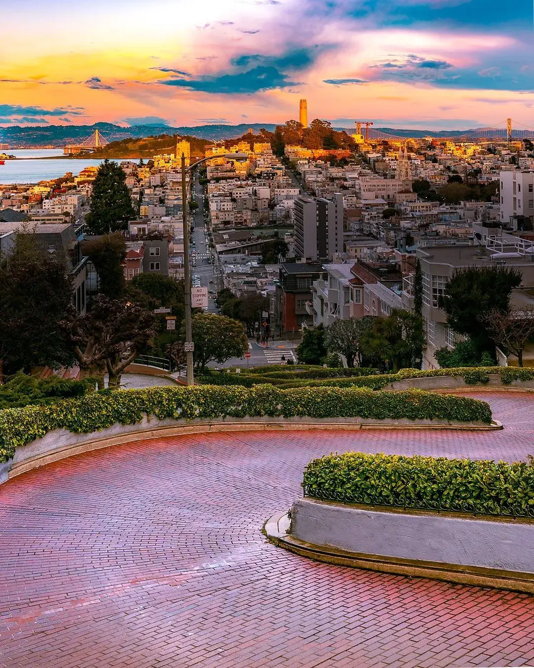 Lombard Street curves with Coit Tower in the distance during sunset.