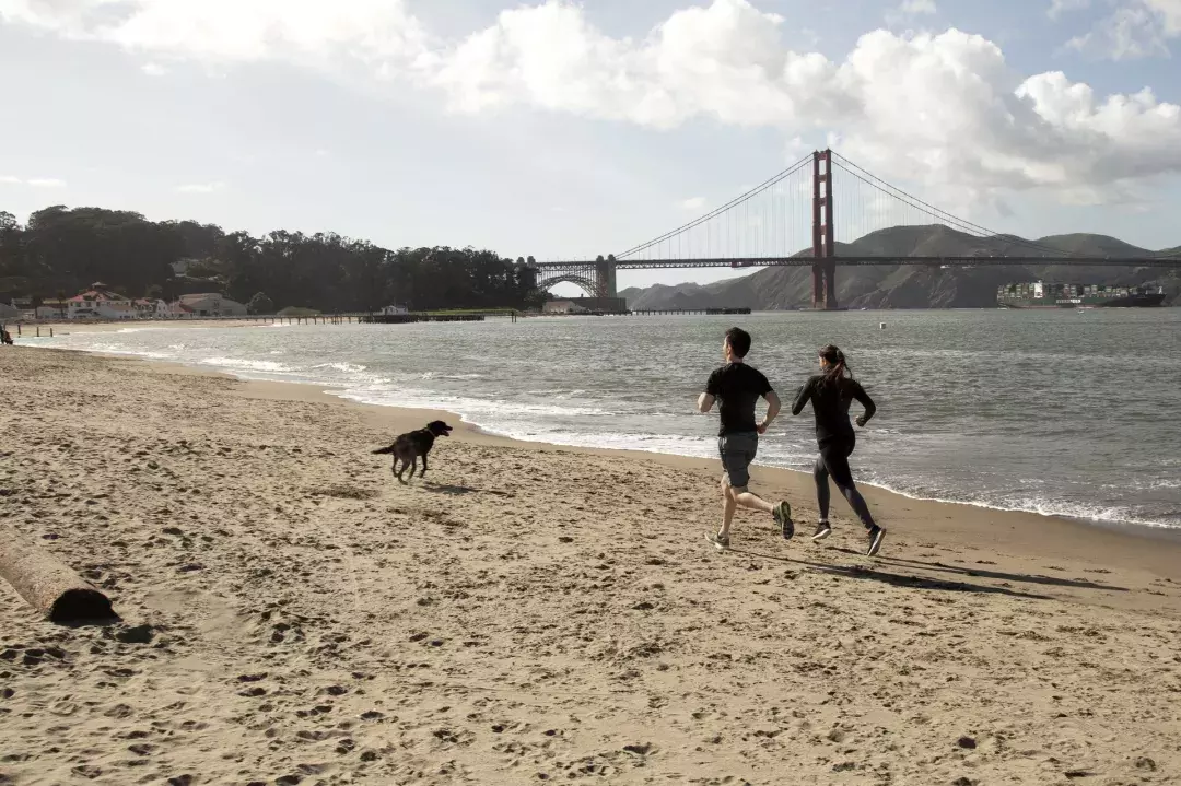 Couple with a dog running on Crissy Field