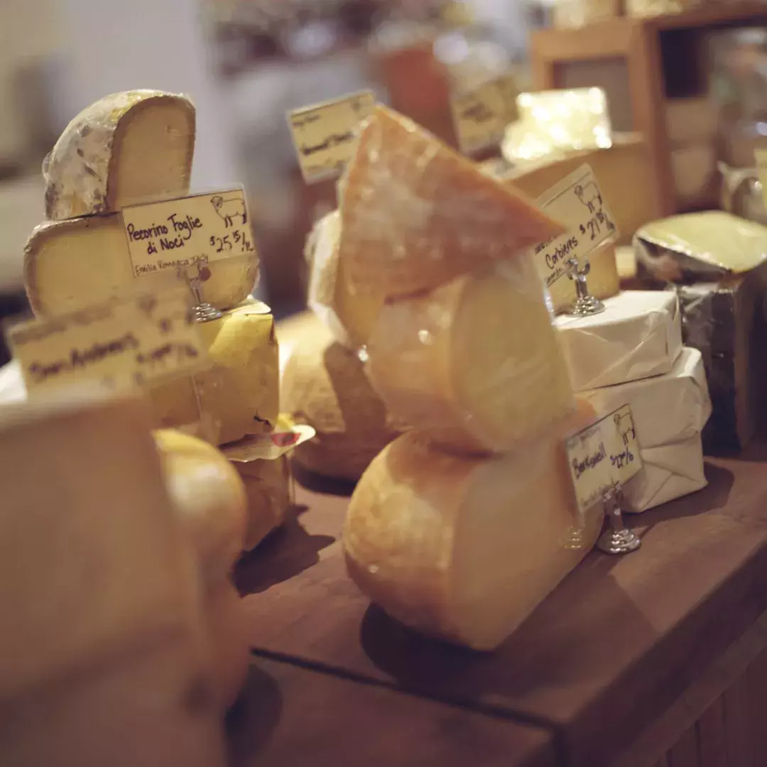 Various cheeses at gourmet counter