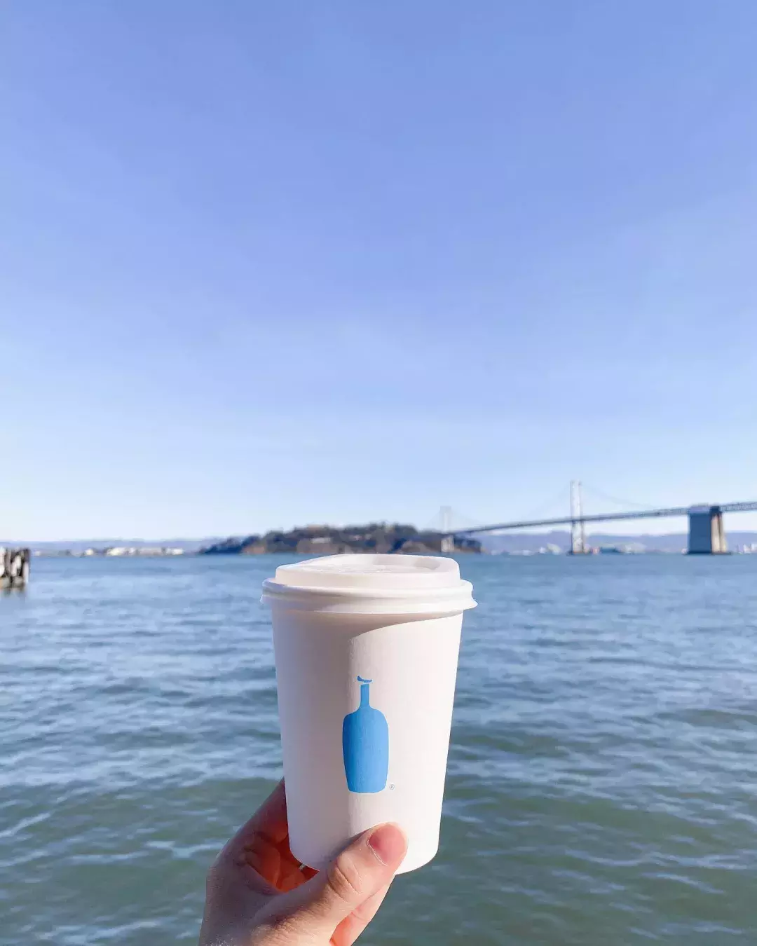 Hand holding blue bottle coffee cup by view of the bay