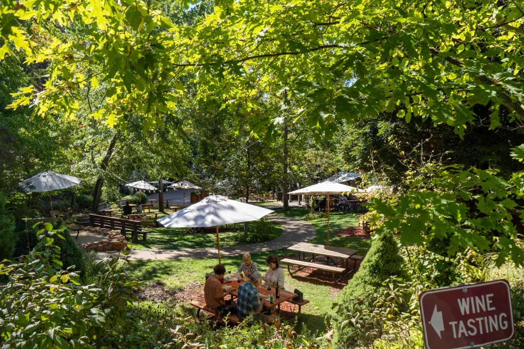 Lush, green picnic area with group sitting at table tasting wines