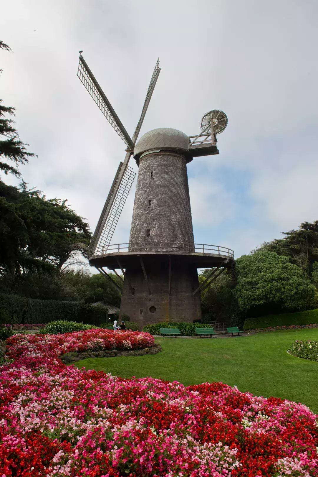 Dutch Windmill in Golden Gate Park