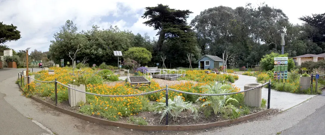 サンフランシスコとその近郊で花が咲く最高の場所 | San Francisco Travel