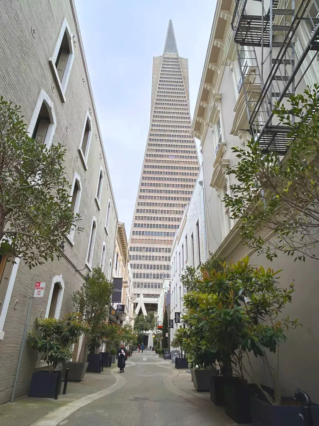 Transamerica from Jackson Square Alleyway 