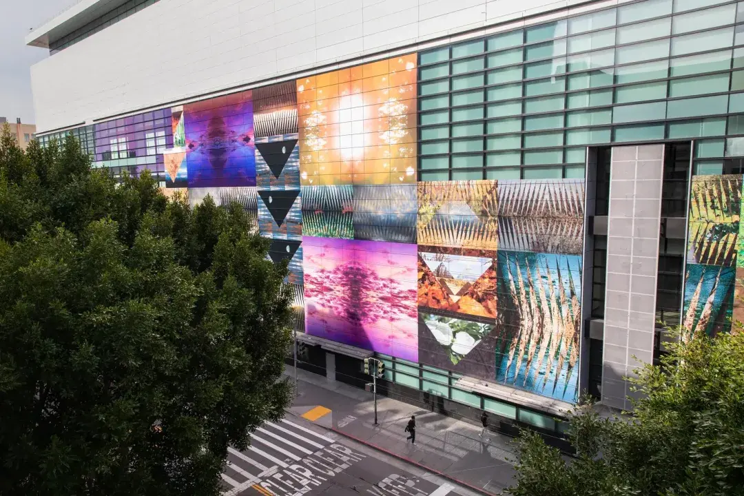 Wide Shout of the installation, This Burning World