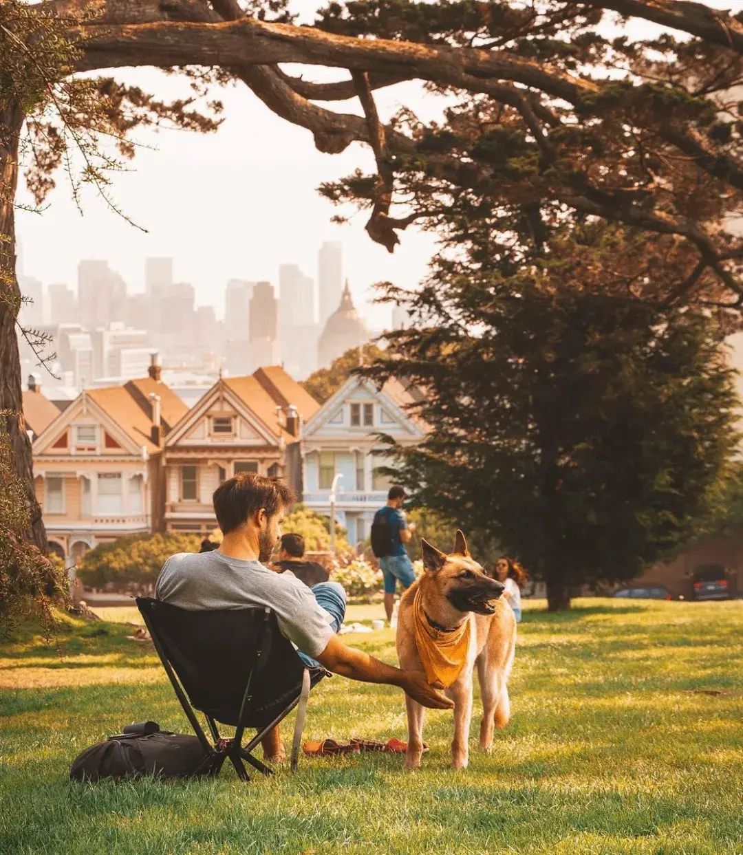 A man and his dog in San Francisco's Alamo Square Park, near the famous Painted Ladies.