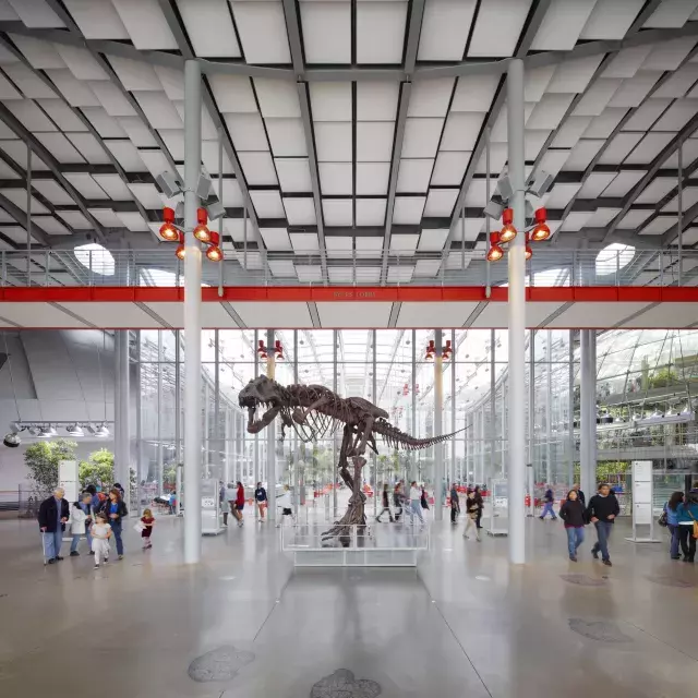 Dinosaur at the California Academy of Sciences