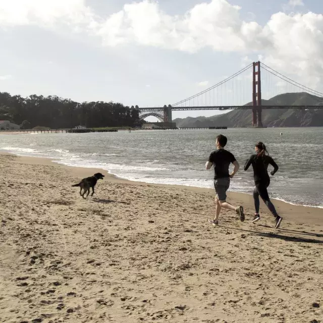 Runners on Crissy Field